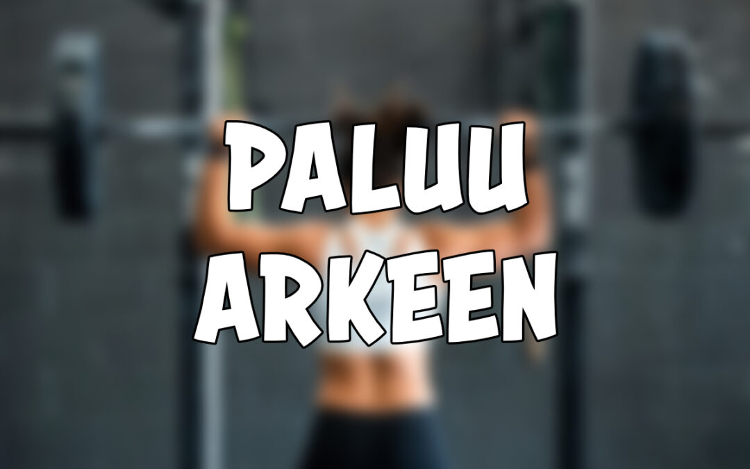 Paluu arkeen!