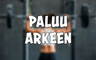 Paluu arkeen!